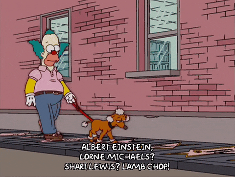 Albert Einstein Walking Dog GIF
