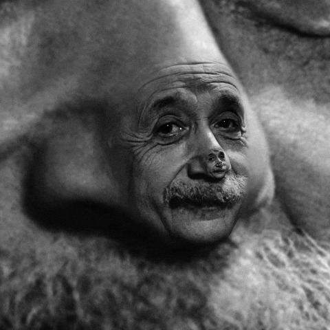 Albert Einstein Zooming Continues GIF