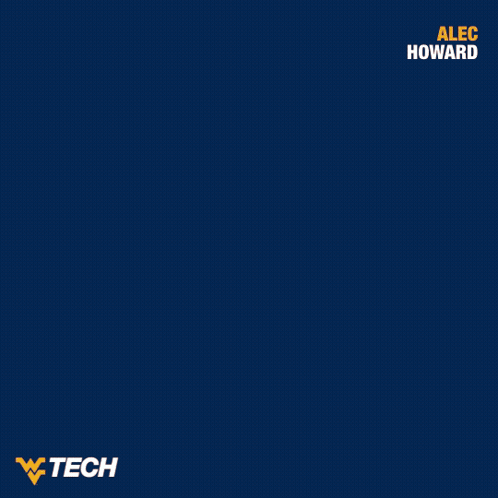 Alec Howard Blue Tank Top Tiger Print