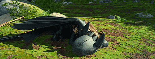 Alert Toothless Wake Up What GIF