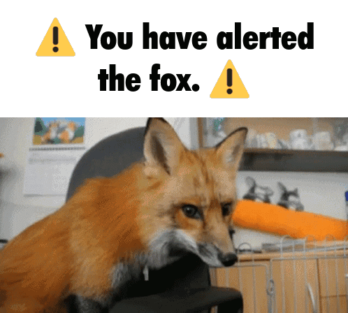Alerted Fox with Words