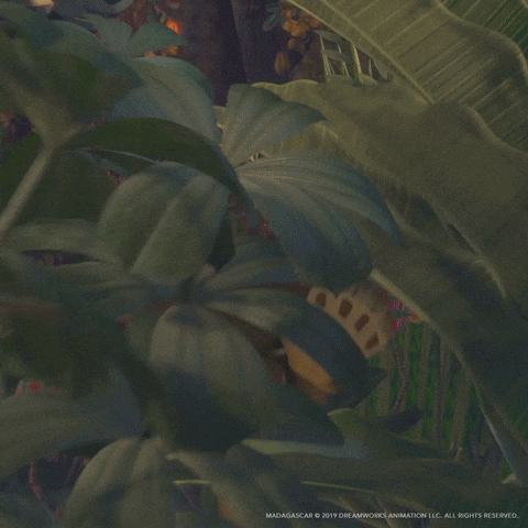 Alex Cast Away On Madagascar GIF