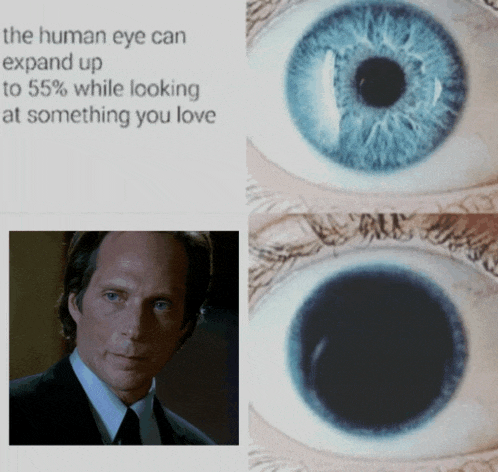 Alex Mahone Alexander Mahone Meme GIF