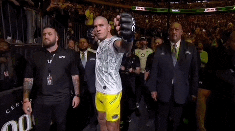 Alex Pereira Arrow Motion Entrance GIF