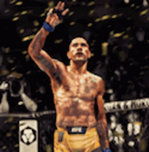 Alex Pereira Four Finger Pose GIF