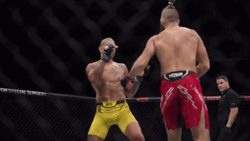 Alex Pereira Kicking Jiří Procházka GIF