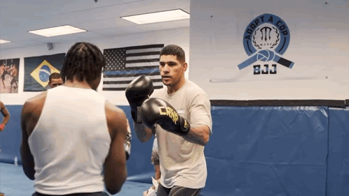 Alex Pereira Knock Out While Working Out GIF