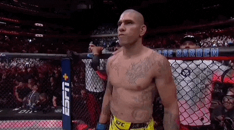 Alex Pereira Serious Face Standing GIF