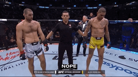 Alex Pereira Winning Nope GIF