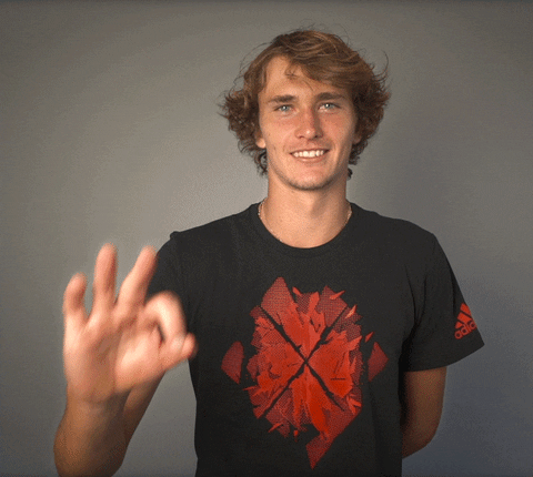 Alexander Zverev Approves GIF