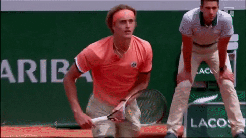 Alexander Zverev Disapproves GIF