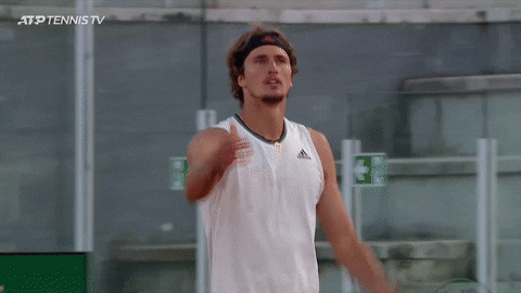 Alexander Zverev Exercising GIF