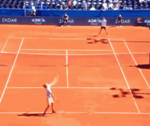 Alexander Zverev Fault Serving GIF