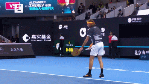 Alexander Zverev Hands Off GIF