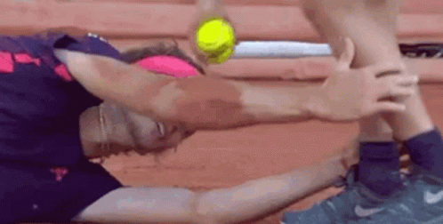 Alexander Zverev Hugging Someone's Feet GIF