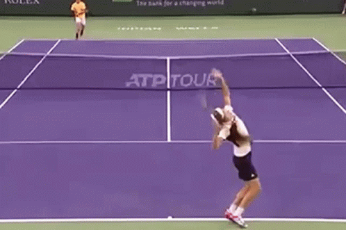 Alexander Zverev Losing A Point GIF