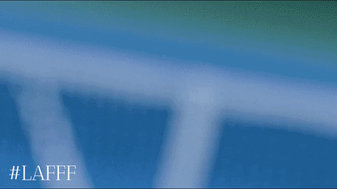 Alexander Zverev Recorded GIF