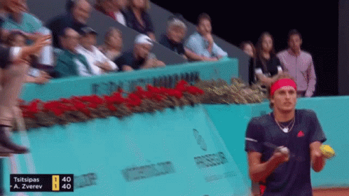 Alexander Zverev What GIF