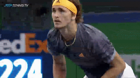 Alexander Zverev Yelling GIF