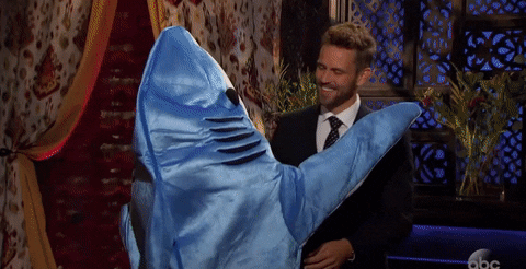 Alexis Dolphin Suit Hugging The Bachelor GIF