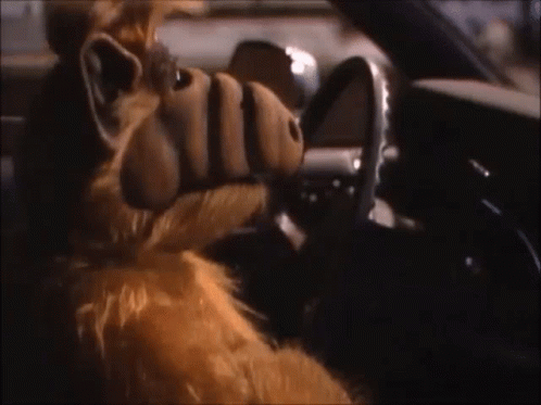 Alf Dancing Inside Car GIF