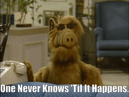 Alf From The Show Sits On A Couch Talking On A Phone With The Caption One Never Knows Til It Happens GIF