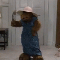 Alf Looking At Mirror GIF