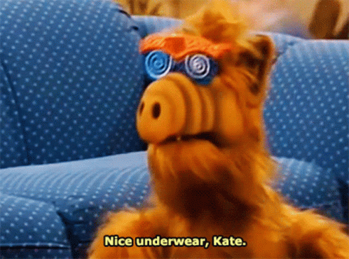 Alf Nice Undearwear Kate GIF