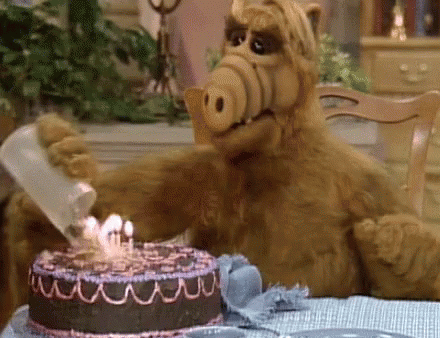 Alf Pouring Cake Water GIF