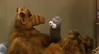 Alf Worm Puppet Hand GIF
