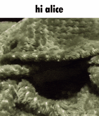 Alice Greetings Gif GIF