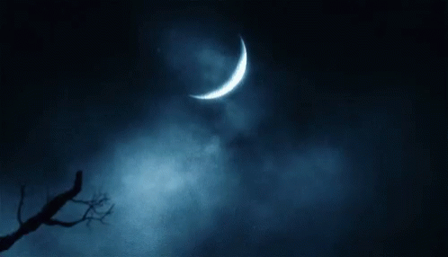 Alice In Wonderland Creshire Cat Moon GIF