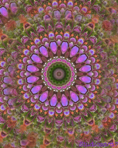 Alice In Wonderland Mandala Kaleidoscope GIF