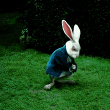 Alice Wonderland White Rabbit Check Time GIF