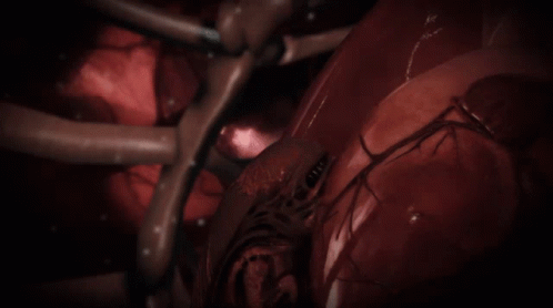 Alien Chestburster Crawling Pumping Heart GIF