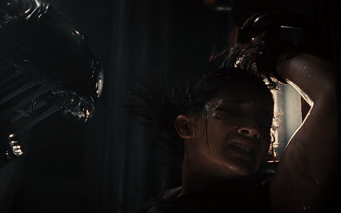 Alien Chestburster Xenomorph Alien Romulus GIF