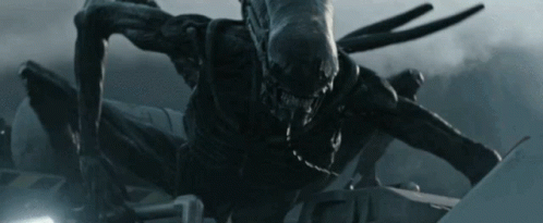 Alien Chestburster Xenomorph Exoskeleton GIF