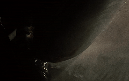 Alien Xenomorph Chestburster Phallic Shaped Head GIF