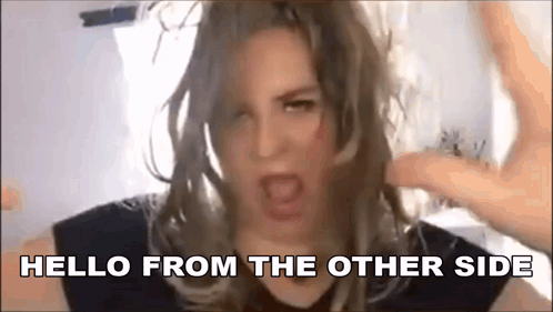 Aline Bachmann Hello From The Other Side GIF