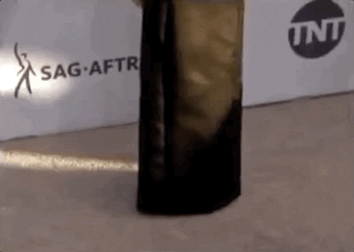 Alison Brie Black Dress Sag Awards GIF