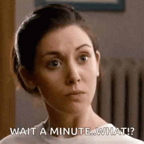 Alison Wait A Minute What Meme GIF