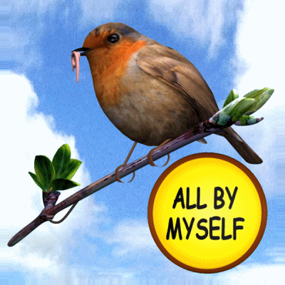 All By Myself Poor Woodpecker Bird GIF