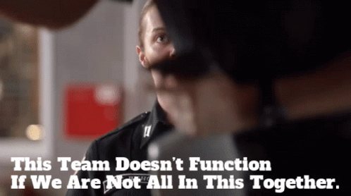 All In This Together Teamwork Meme GIF