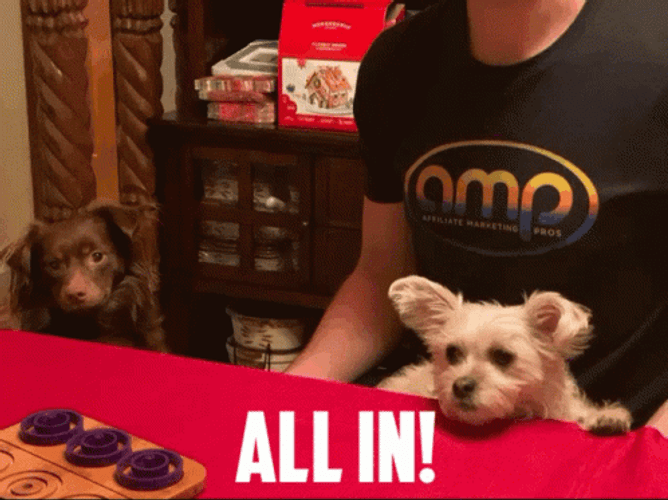 All In With A Cute Dog GIF