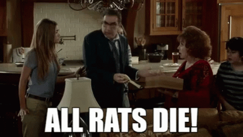 All Rat Die Meme GIF