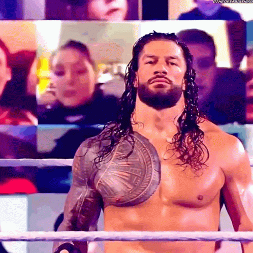 All Rise To Roman Reigns GIF