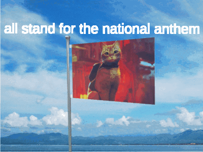 All Stand For The National Anthem GIF