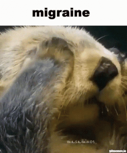 Allergies 415 X 498 Gif GIF