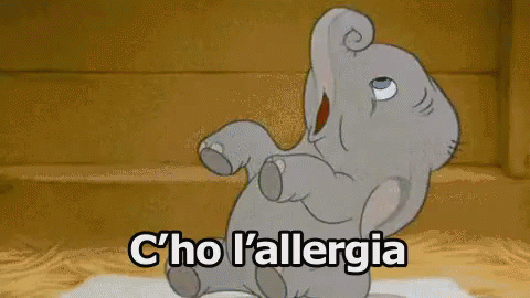 Allergies Dumbo C'ho L'allergia GIF