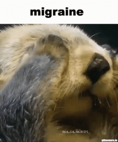 Allergies GIF